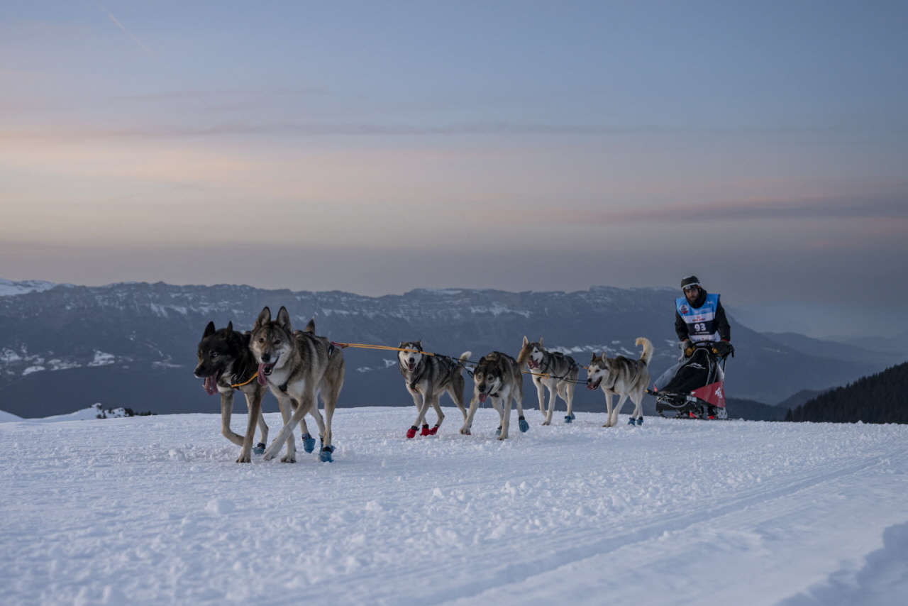 Presse LGO26 - 20.01.26 - Benoit Diacre - 9.jpg