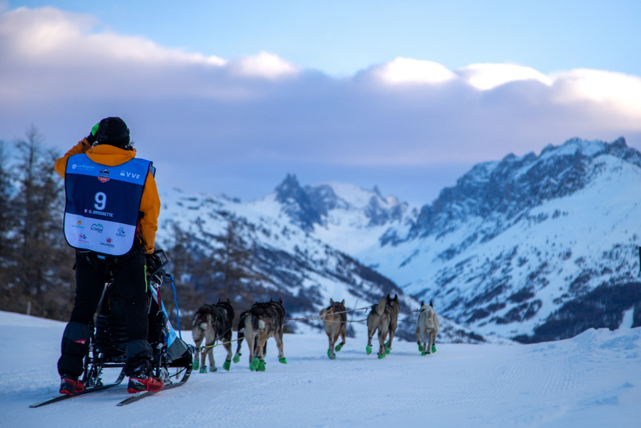 © François-Xavier REPELLIN