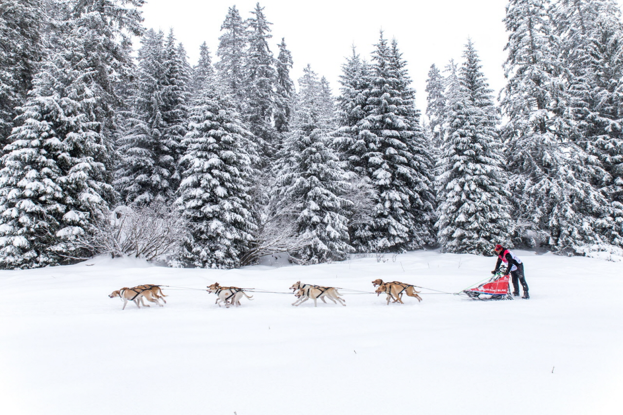 © Vincent Piccerelle