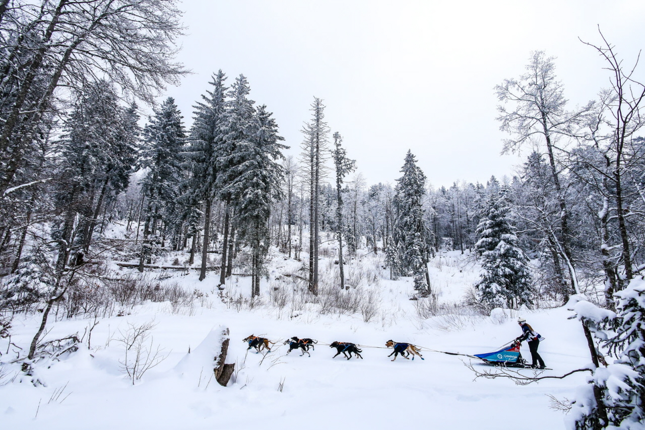 © Vincent Piccerelle