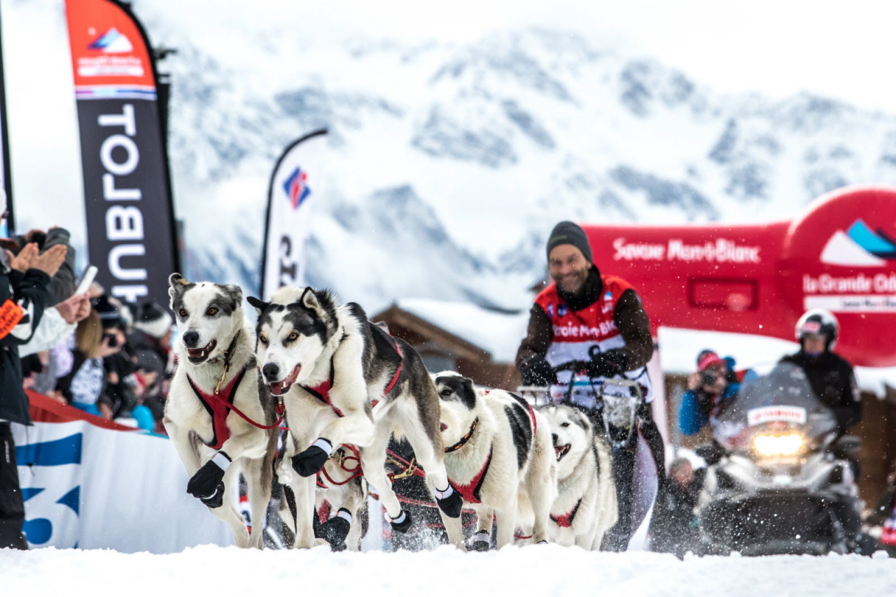 © Vincent Piccerelle