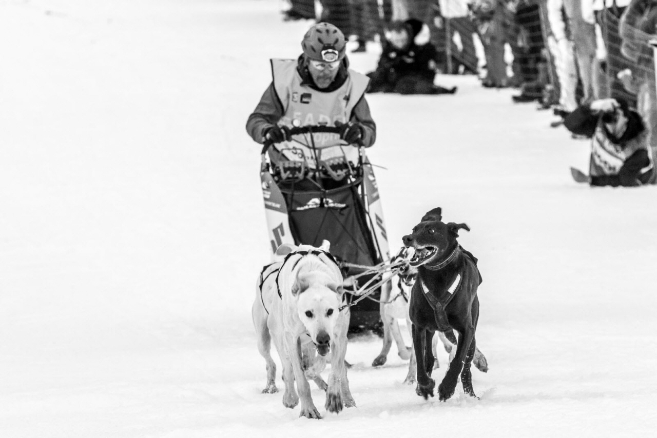 © Vincent Piccerelle