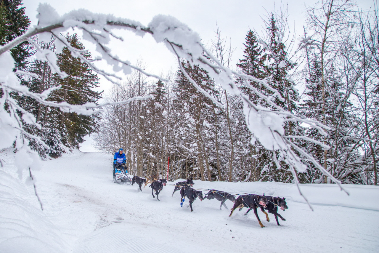 © François-Xavier Repellin