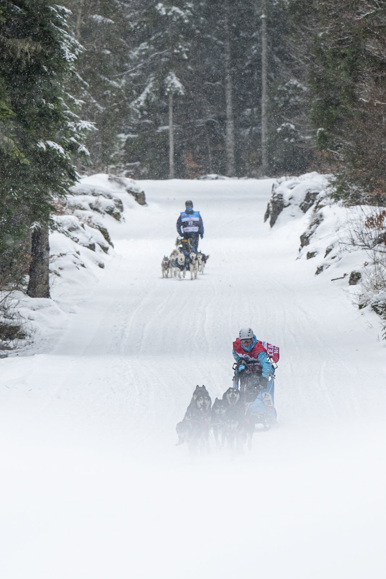 Presse LGO26 - 22.01.26 - Benoit Diacre - 8.jpg