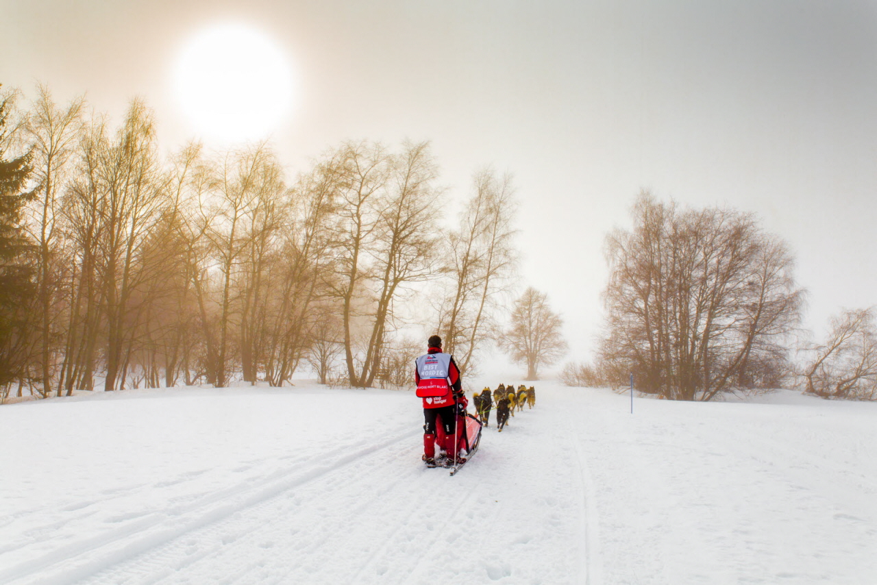 © Vincent Piccerelle