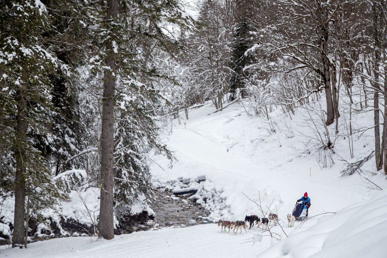 © François-Xavier Repellin