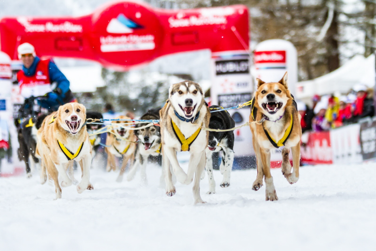 © Nathalie Allilaire