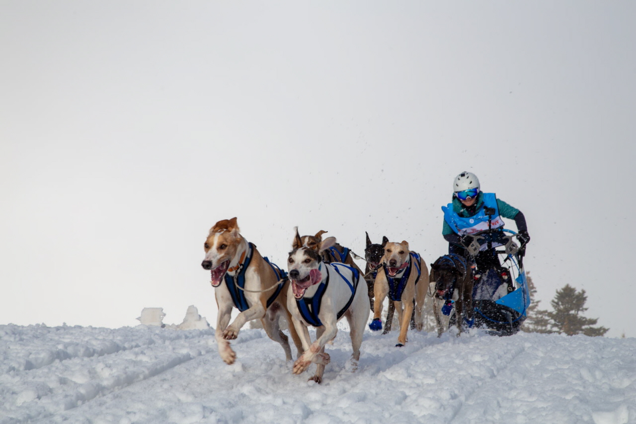 © François-Xavier Repellin