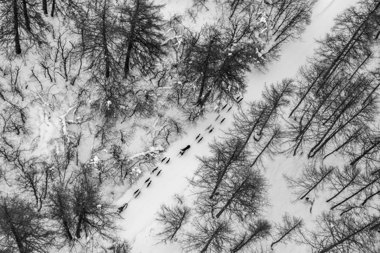 © Vincent Piccerelle