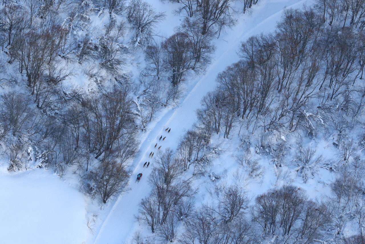 © Vincent Piccerelle