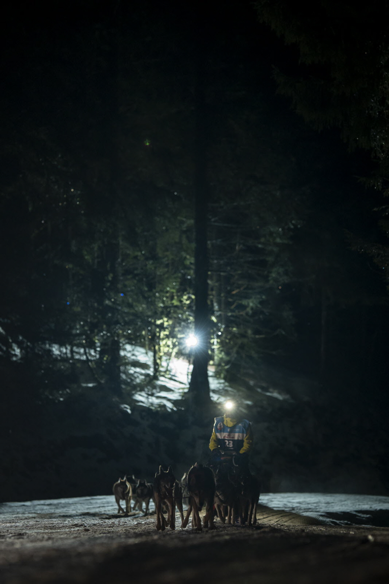 Presse LGO26 - 12.01.26 - Benoit Diacre - 16.jpg