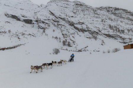 Des milliers de spectateurs au rendez-vous pour une étape spectaculaire de la Grande Odyssée Royal Canin