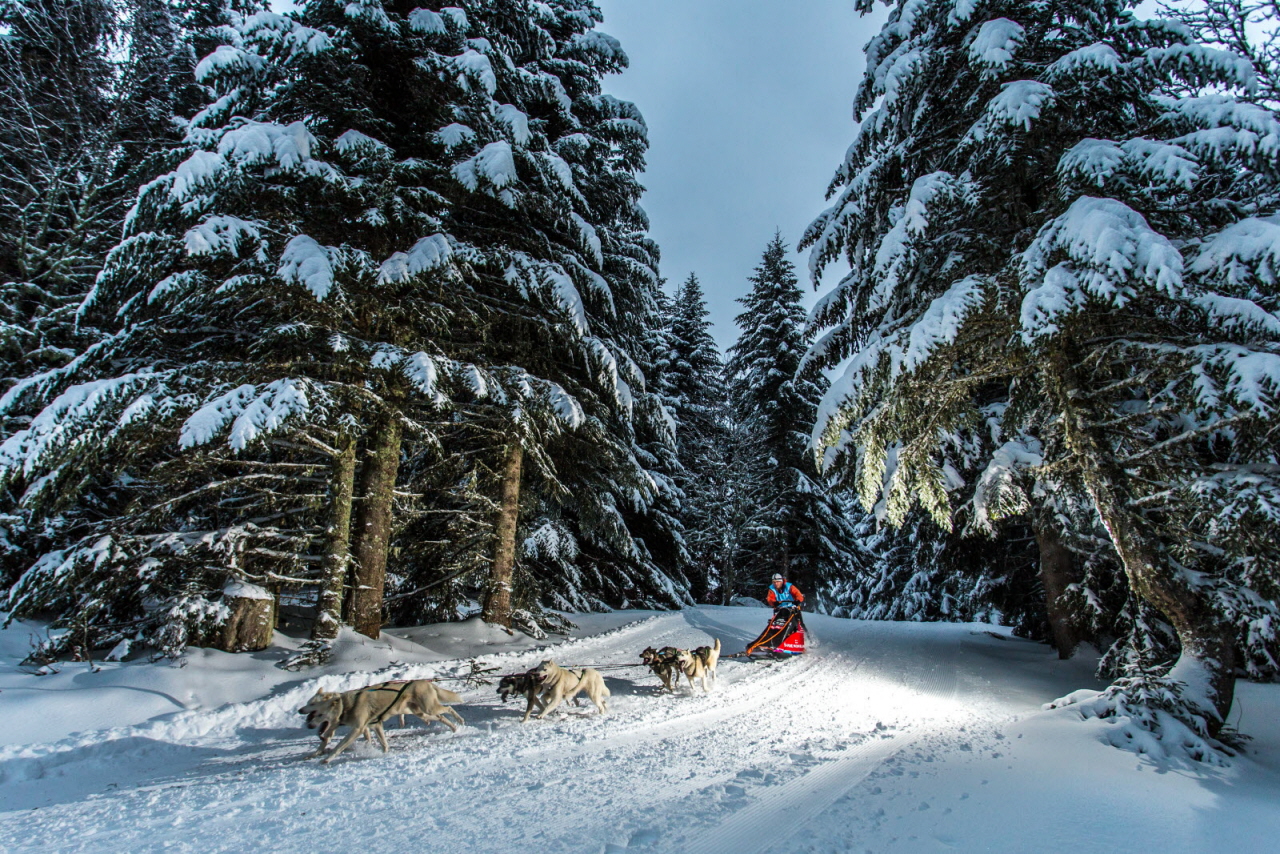 © Vincent Piccerelle