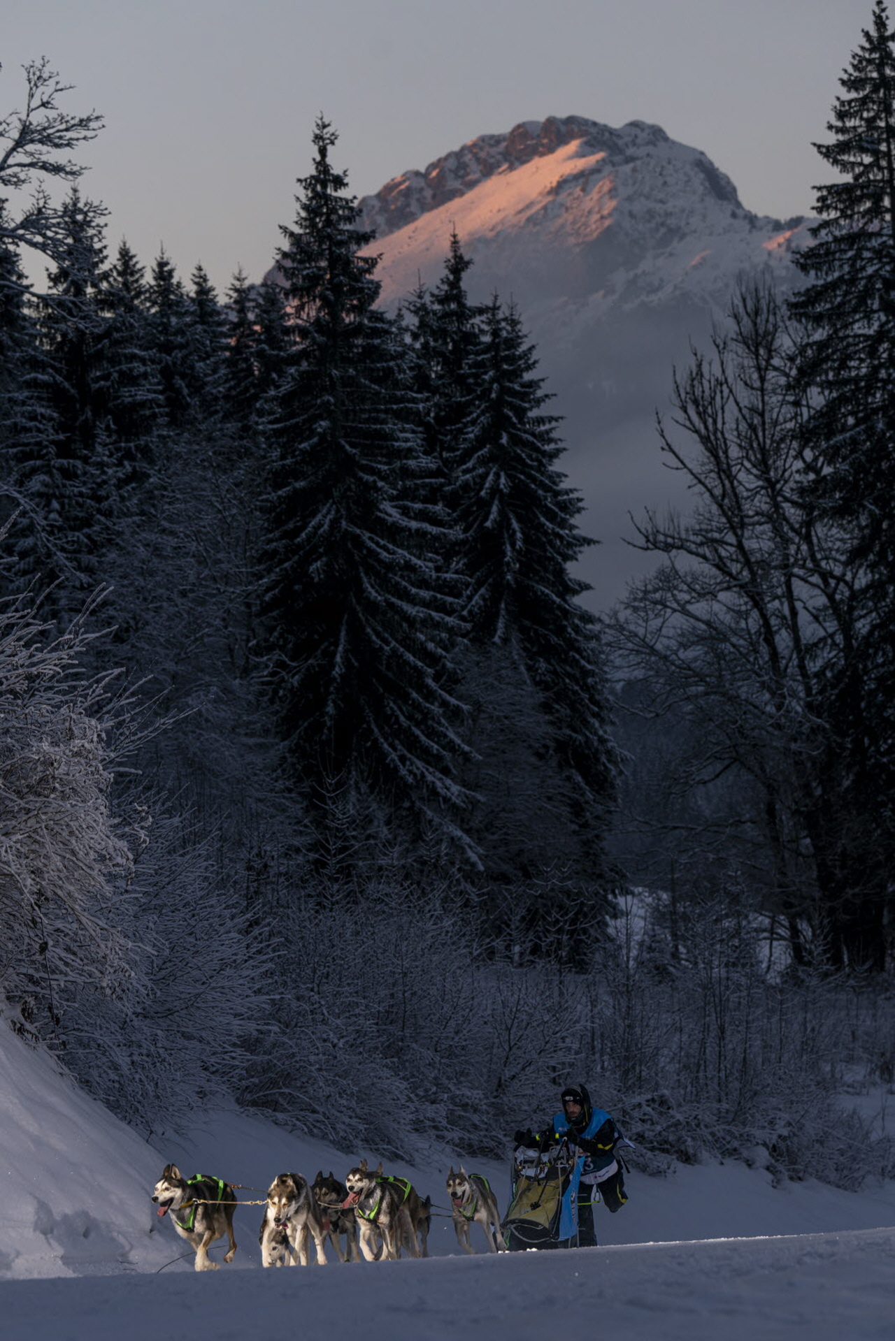 ©  Benoit Diacre