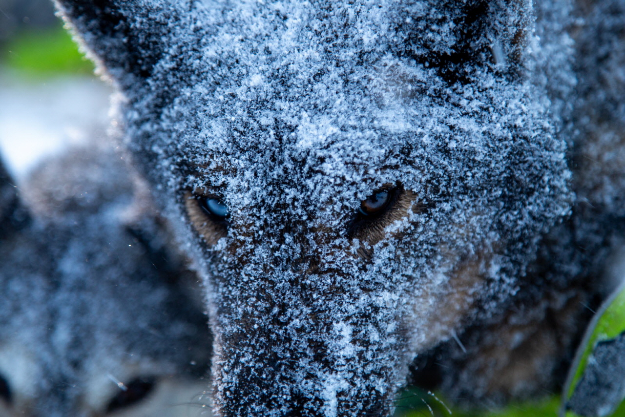 © François-Xavier REPELLIN