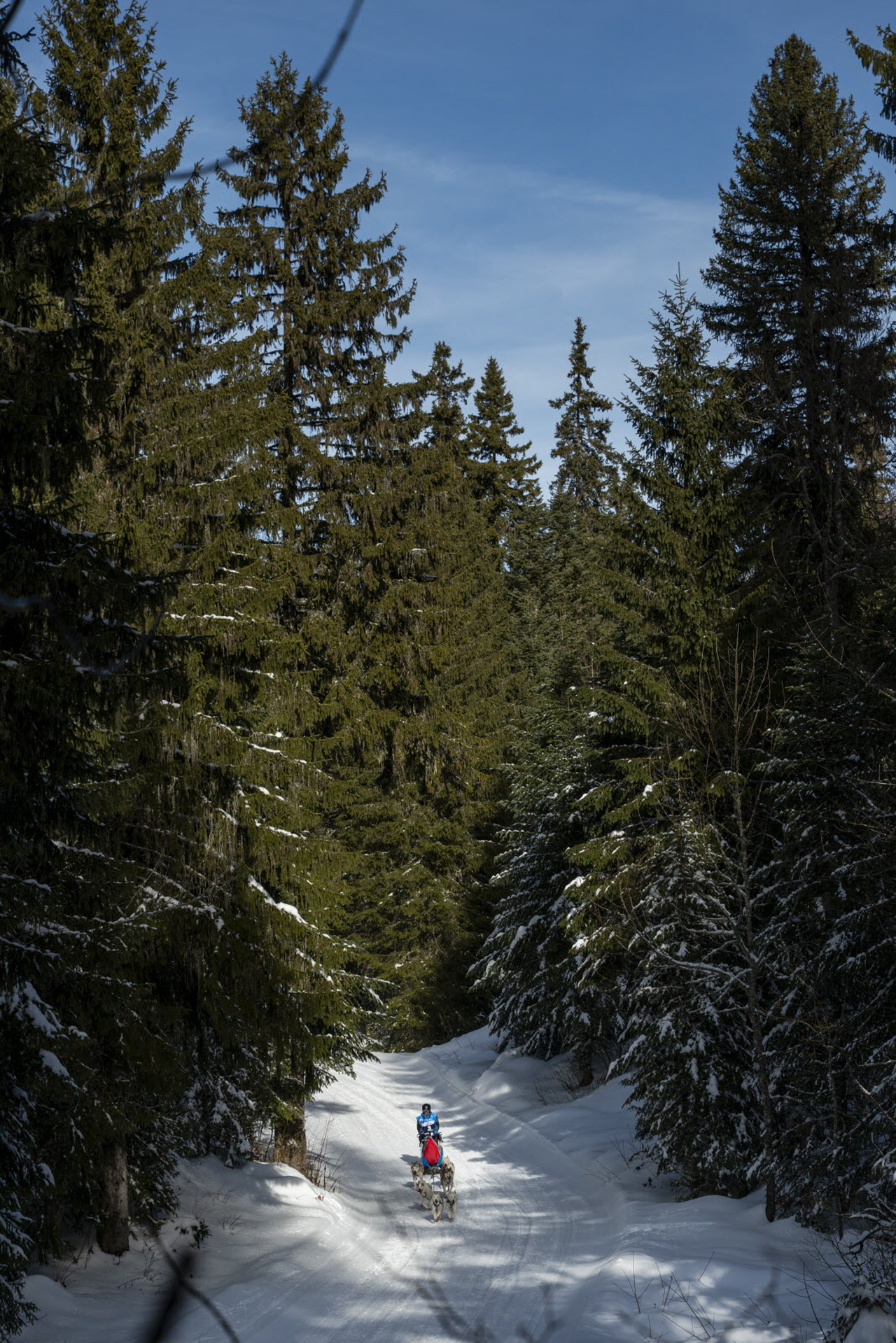 Presse LGO26 - 13.01.26 - Benoit Diacre - 15.jpg