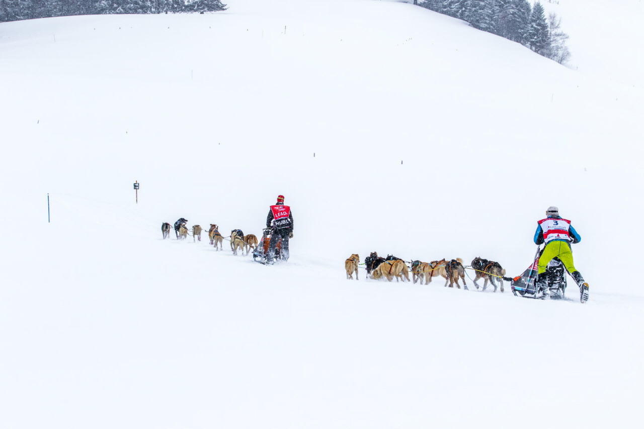 © Vincent Piccerelle