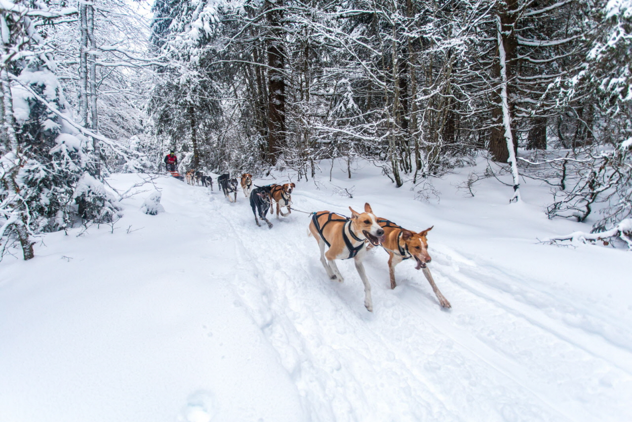 © Vincent Piccerelle