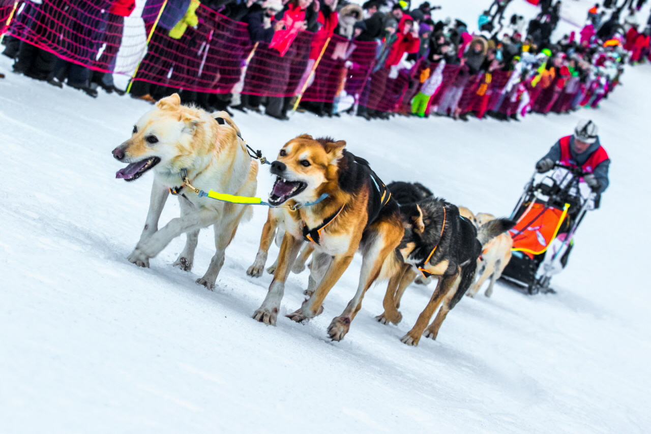 © Vincent Piccerelle