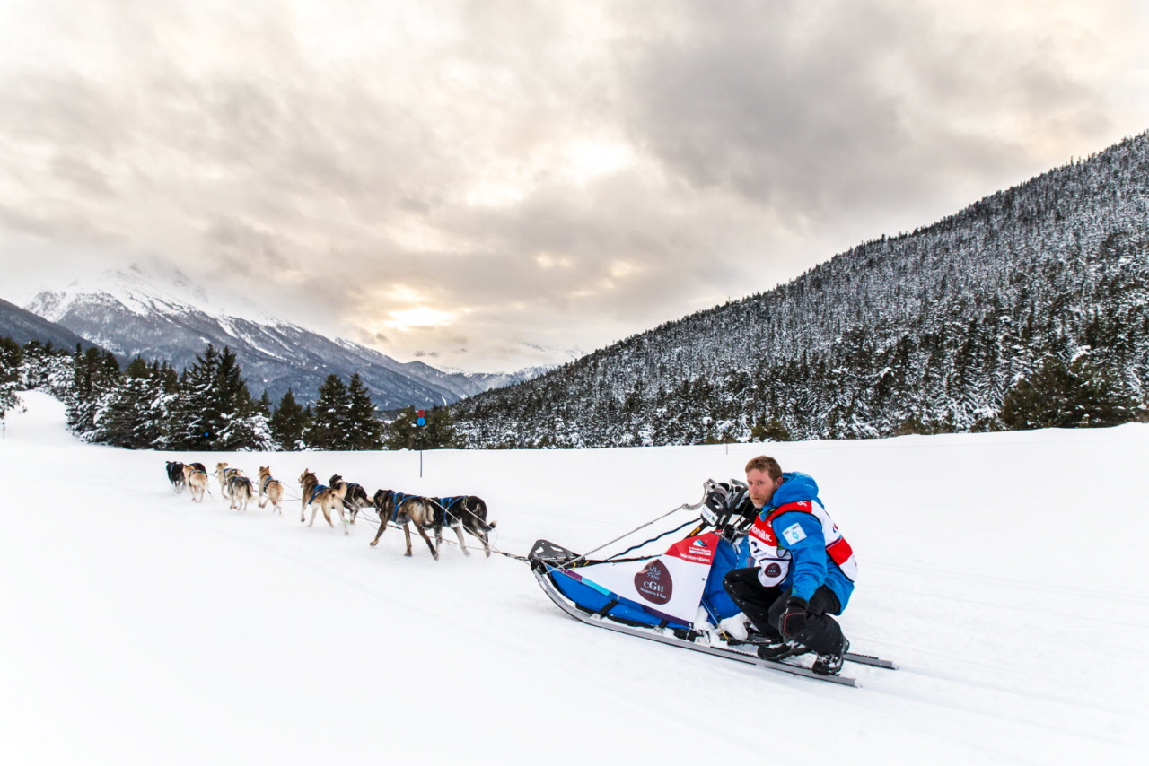 © Vincent Piccerelle