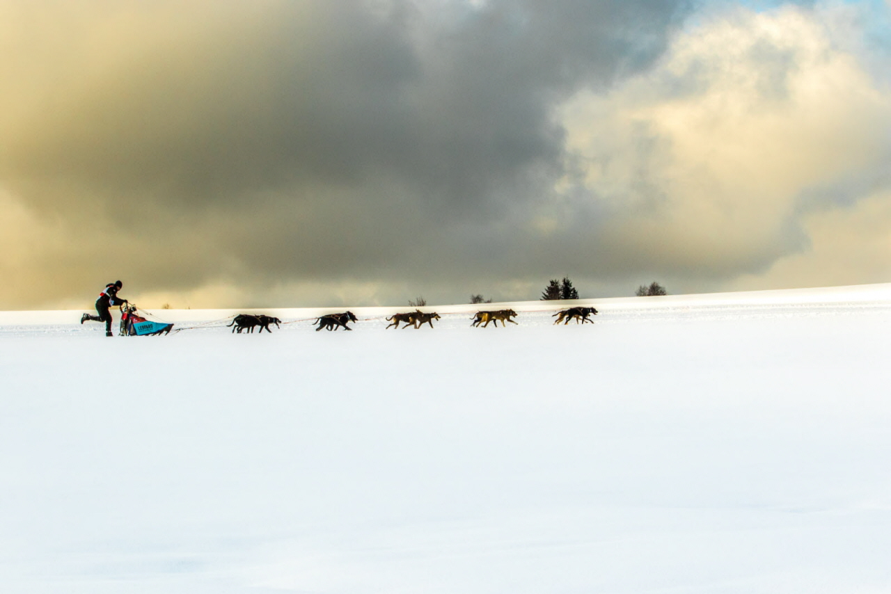 © Vincent Piccerelle