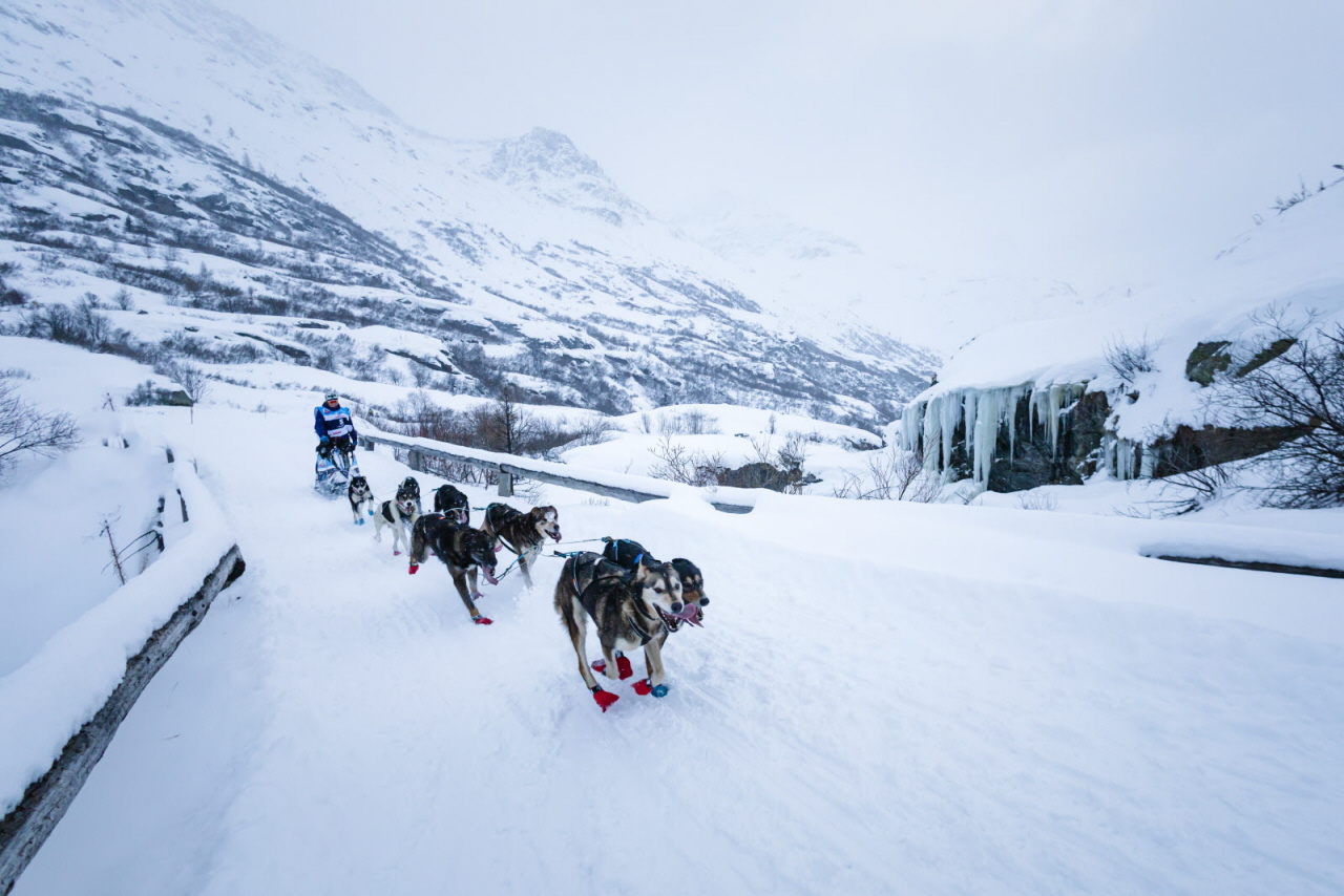 PresseLGO26-17.01-BaptisteAlonsoBraissand-3580 - Copie.jpg