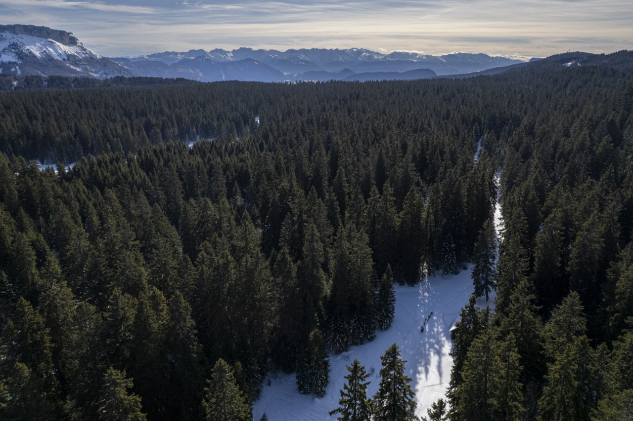 Presse LGO26 - 13.01.26 - Benoit Diacre - 10.jpg