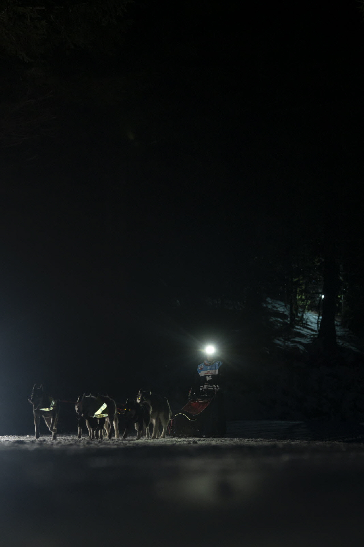 Presse LGO26 - 12.01.26 - Benoit Diacre - 13.jpg