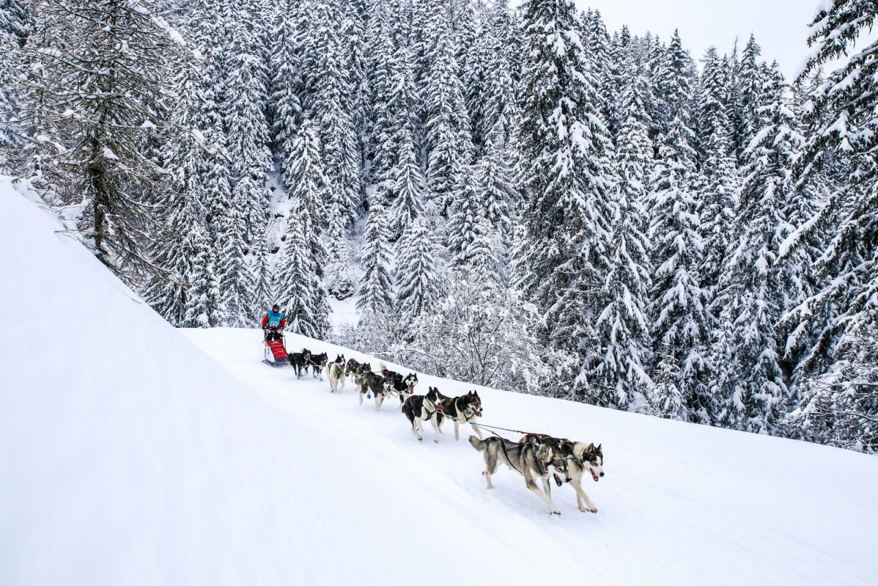 © Vincent Piccerelle