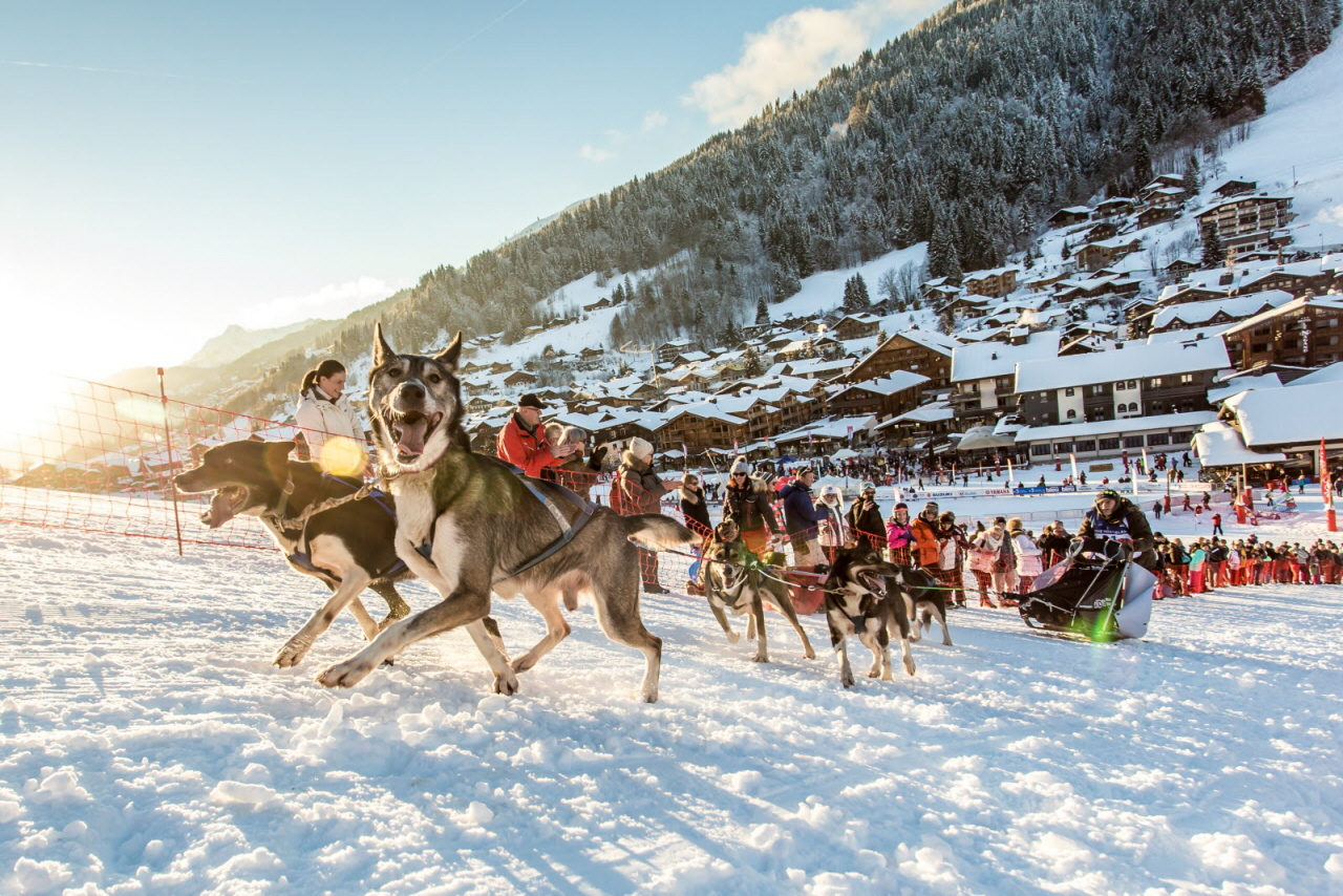 © Vincent Piccerelle