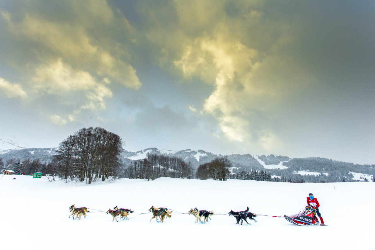 © Vincent Piccerelle