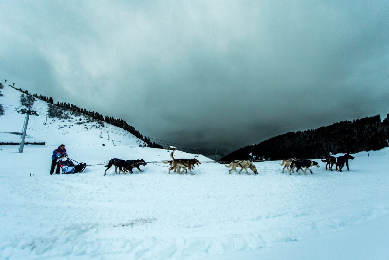 © Vincent Piccerelle