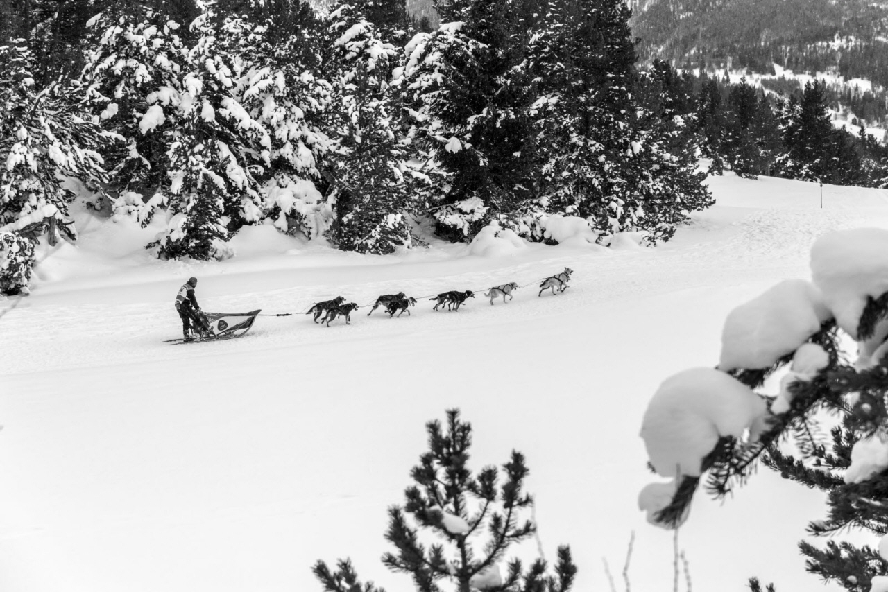 © Vincent Piccerelle