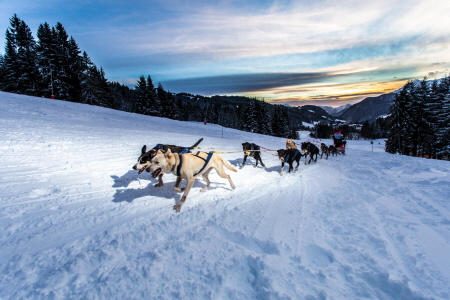 Classement par année