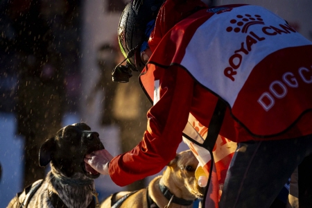 La nutrition joue un rôle majeur pour ces sportifs de haut niveau
