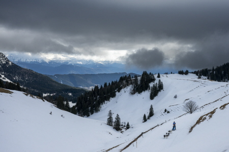 Un trail forestier au Col de Porte