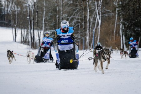 Mushers en herbe pour l’Odyssée des enfants avec le Crédit Mutuel