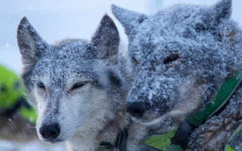 Bivouac dans un "retour d'est"