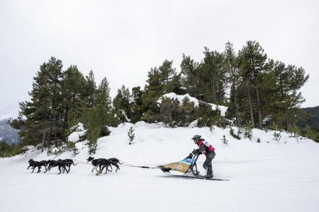 À Aussois, La Grande Odyssée Royal Canin continue de faire vibrer le public sous une pluie d'applaudissements