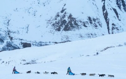 L'étape Valmorel - Doucy apprécié par tous les mushers