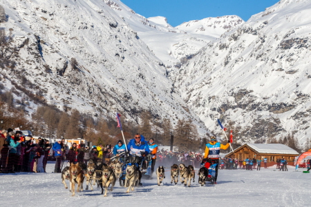 Les mushers inscrits 2026