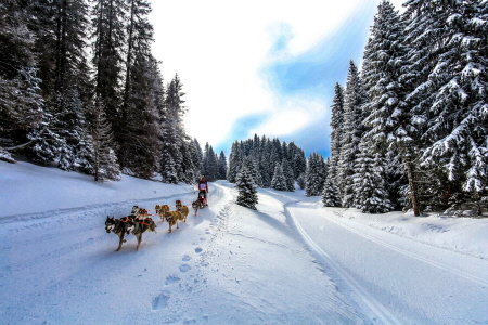 Étape 1 : Avoriaz - Montriond présentée par Haute-Savoie Mont-Blanc