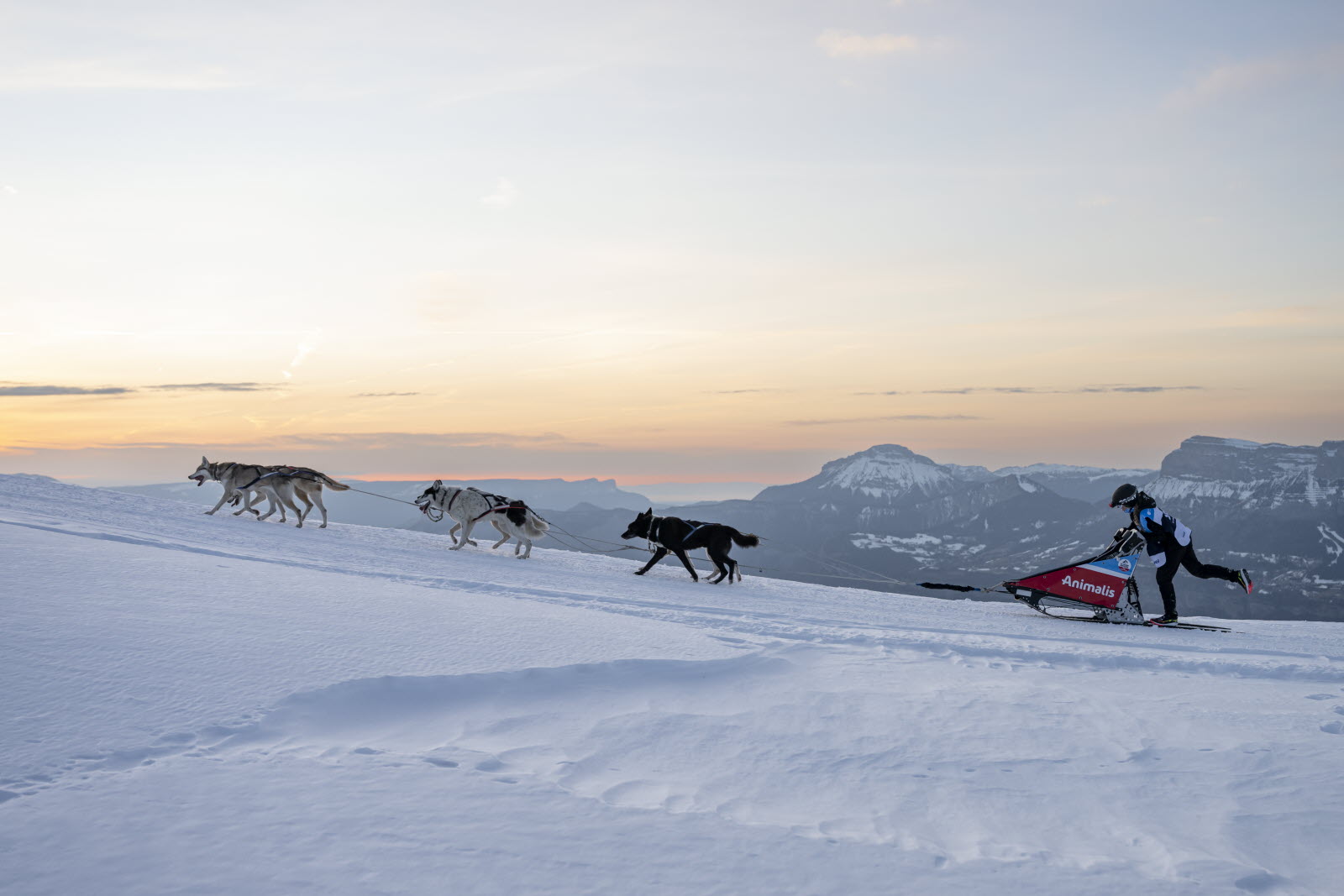 Presse LGO26 - 20.01.26 - Benoit Diacre - 8.jpg