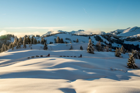 Étape 10 : Col de Porte