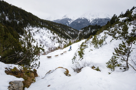 À Aussois, La Grande Odyssée Royal Canin continue de faire vibrer le public sous une pluie d'applaudissements