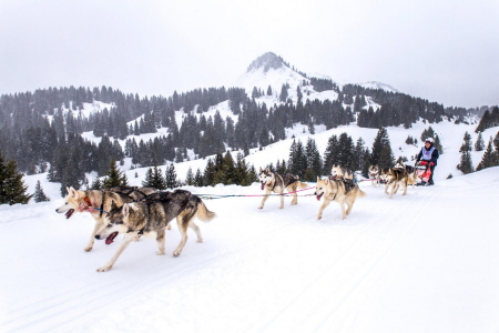 Étape 5 : Les Karellis