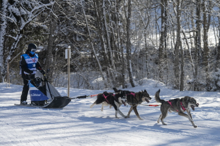 Les Odyssées spéciales
