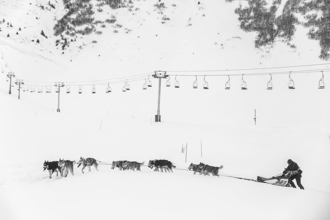 © Vincent Piccerelle