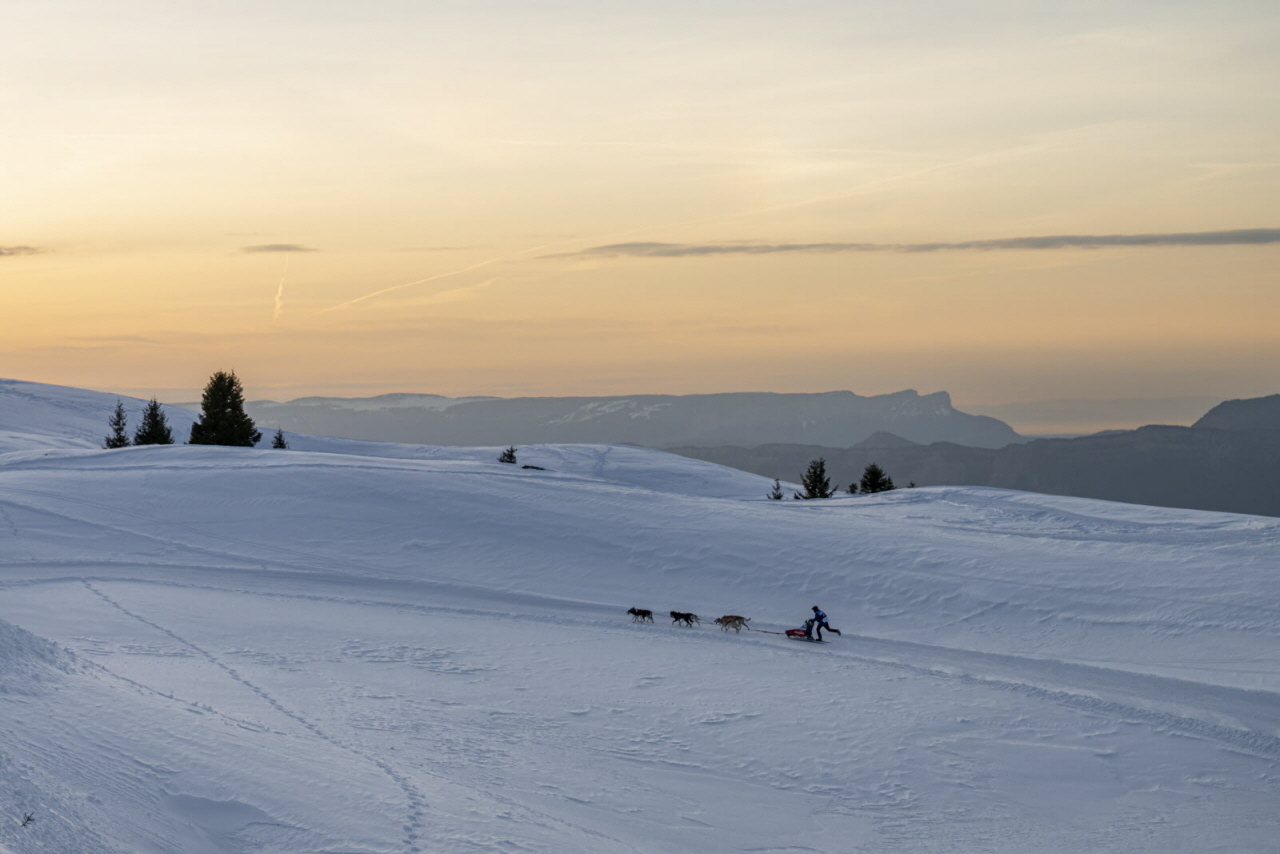 Presse LGO26 - 20.01.26 - Benoit Diacre - 4.jpg