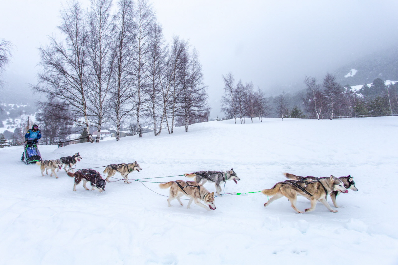 © Vincent Piccerelle